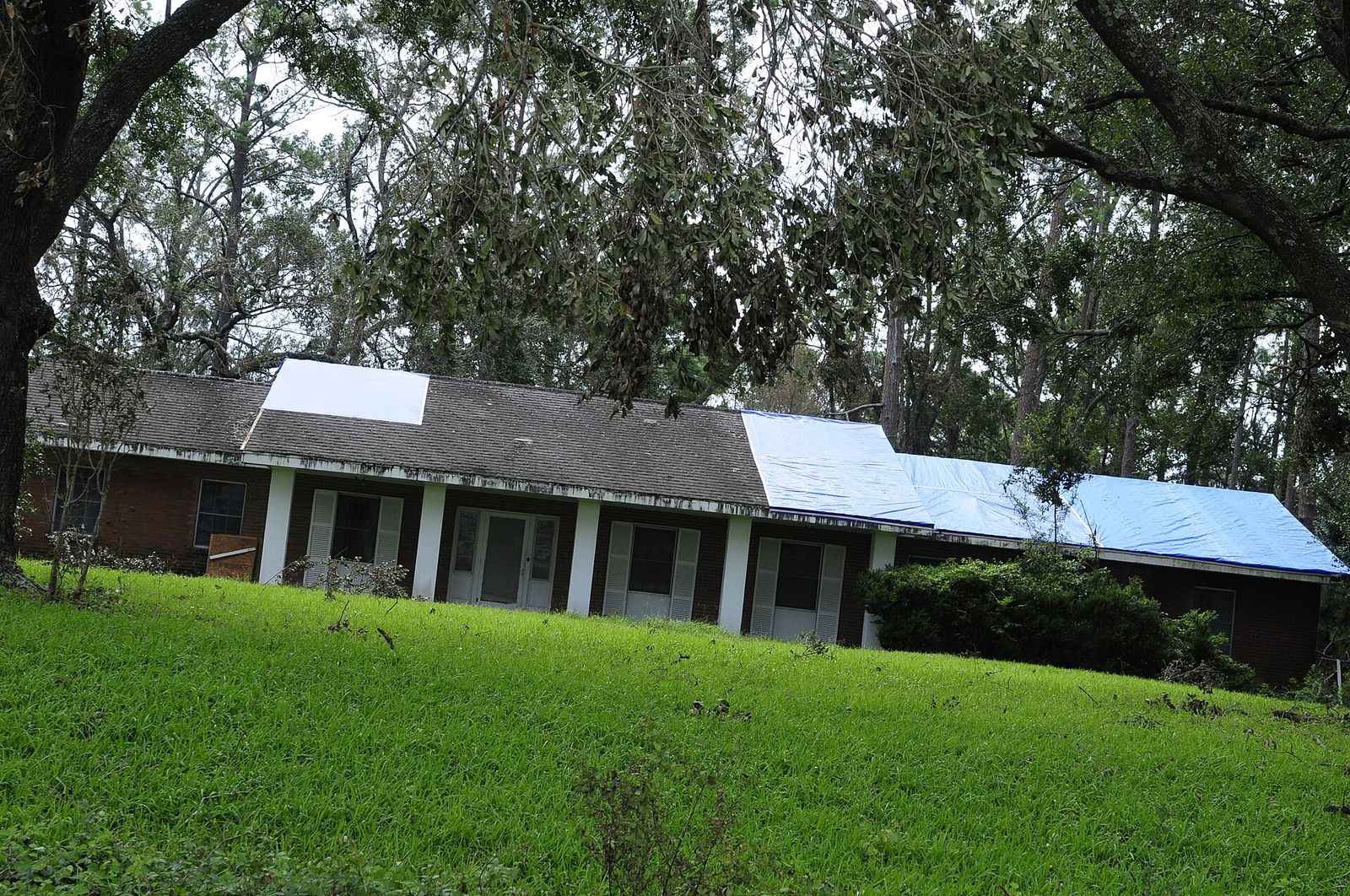 Storm damaged roof with torn shingles and exposed decking